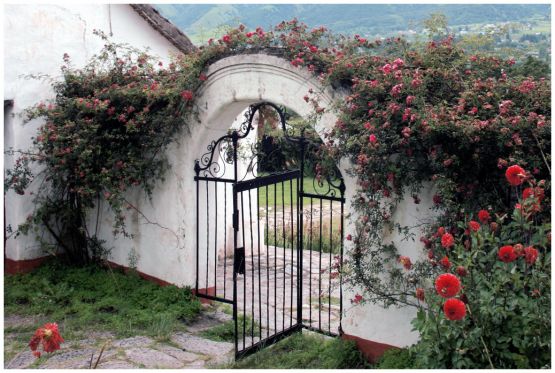 "Antigua entrada florida" de Eli - Elisabet Ferrari