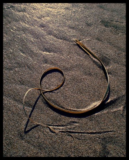 "Espiral en la arena" de Eli - Elisabet Ferrari