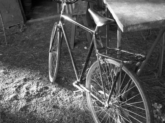 "La bicicleta de Lino" de Carmen Nievas