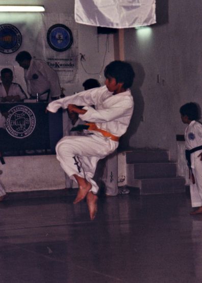 "taekwondo" de Martha A. Moreschi