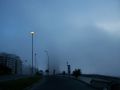 Niebla en Mardel III