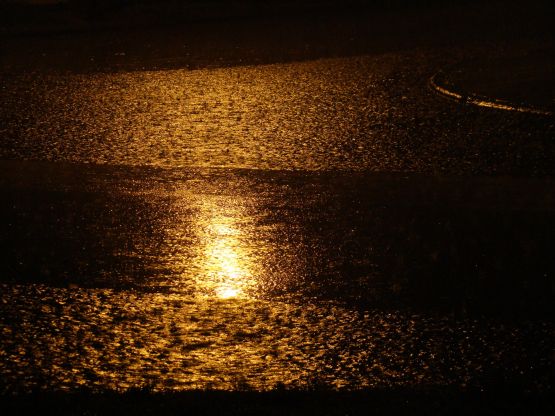 "Reflejos de una noche de lluvia...." de Vane Dosio