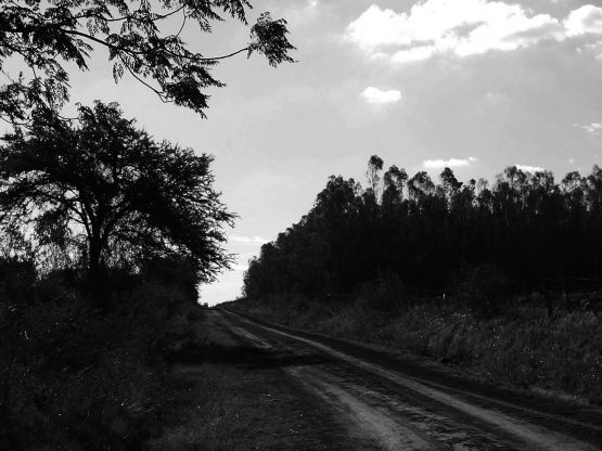 "Camino rural" de Nanci Zumino