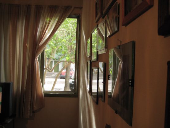 "mi ventana" de Alicia Tiziano