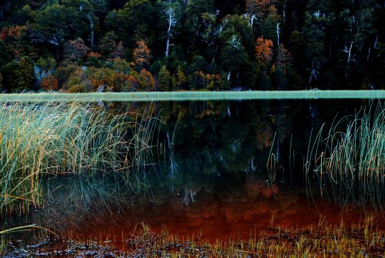 "Lago Curruhue" de Osvaldo Sergio Gagliardi