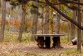 La mesa del bosque