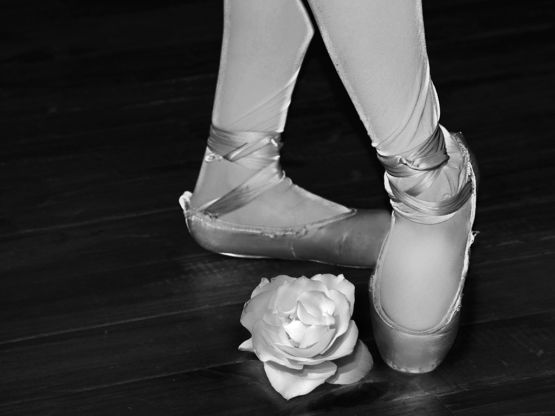 "Zapatillas y una rosa" de Eli - Elisabet Ferrari