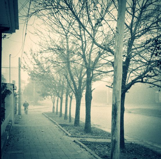 "Niebla Invernal" de Gustavo Torossi