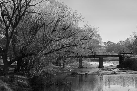"Puente sobre el arroyo" de Eli - Elisabet Ferrari