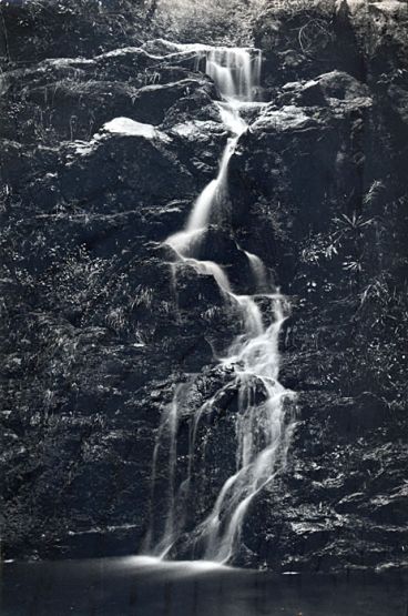 "cascada de los helechos" de Gustavo Andino