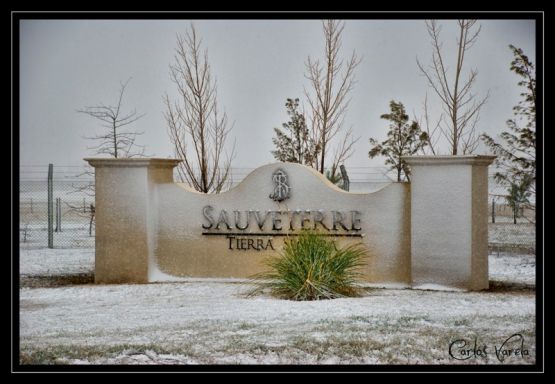 "Nieve en Olavarra" de Carlos Varela