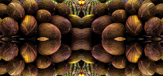 "Estudio sobre melones" de Manuel Raul Pantin Rivero