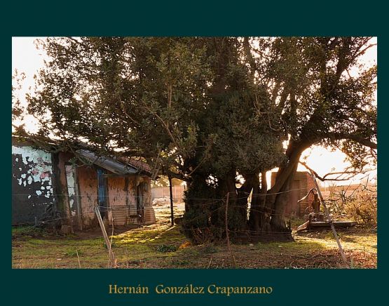 "Una  casa ,un arbol, un lugar........." de Hernn Gonzlez Crapanzano