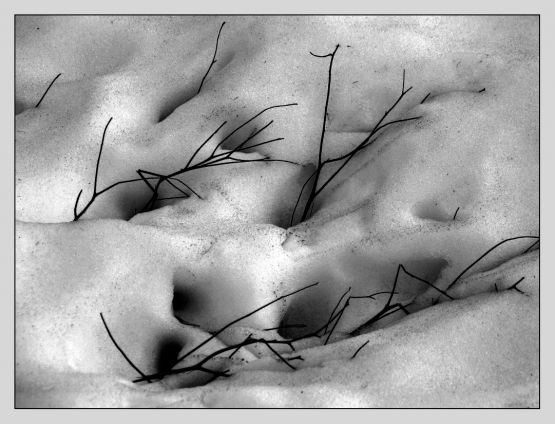 "Texturas en la nieve" de Eli - Elisabet Ferrari