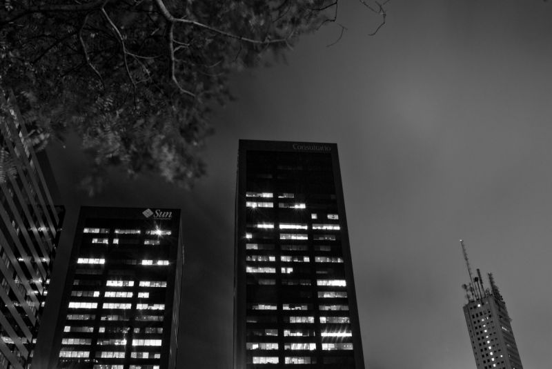"Rascacielos nocturnos" de Ricardo Palmadessa