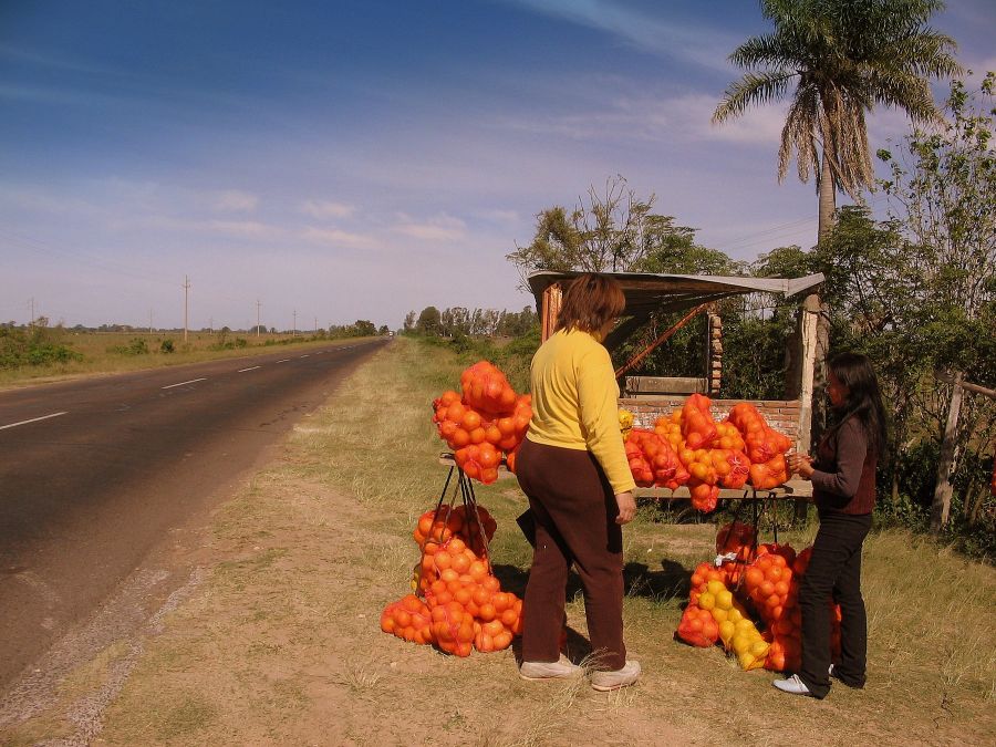 "Comprando naranjas" de Jorge Zanguitu Fernandez