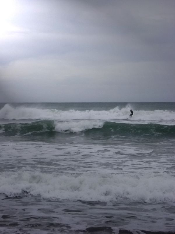 "Surfer" de Tesi Salado
