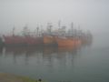 Barcos de Niebla
