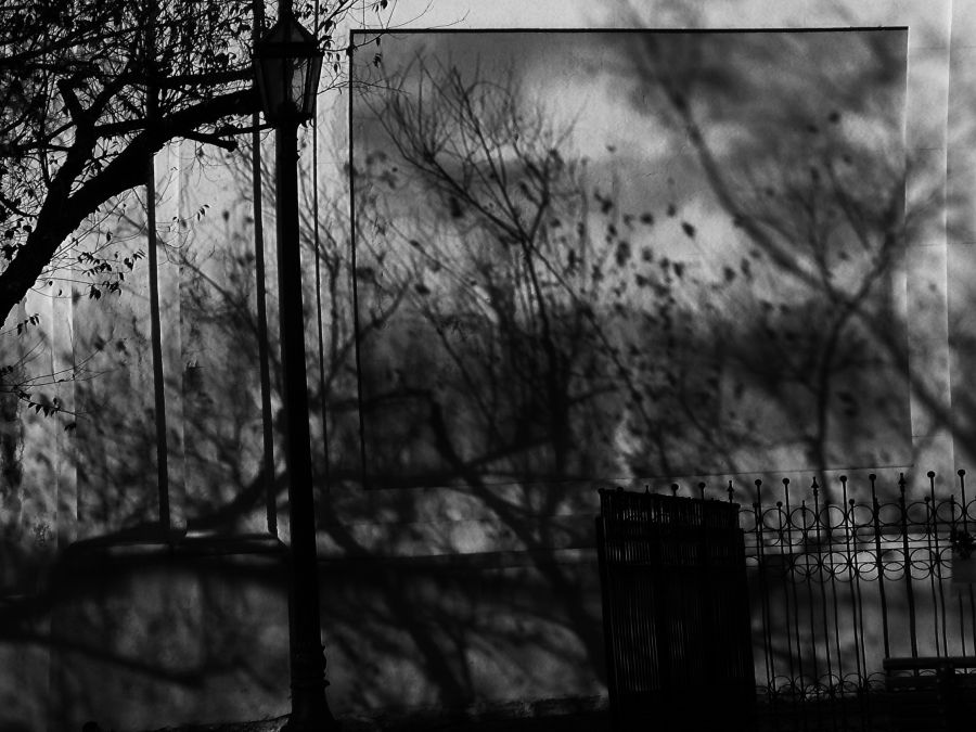 "La pared y las sombras" de Nora Lilian Iturbide ( Noral )