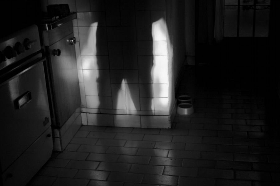 "Ghost maanero en la cocina" de Carmen Nievas
