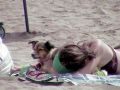 Perrito y duea en la playa