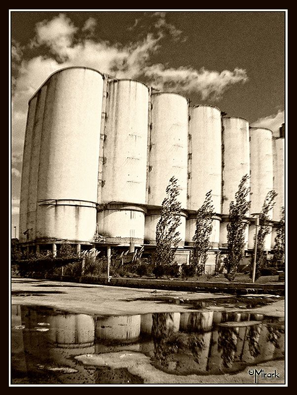 "silos" de Mirta Steinberg