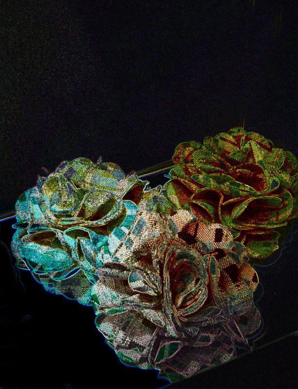 "Flores escocesas" de Tesi Salado