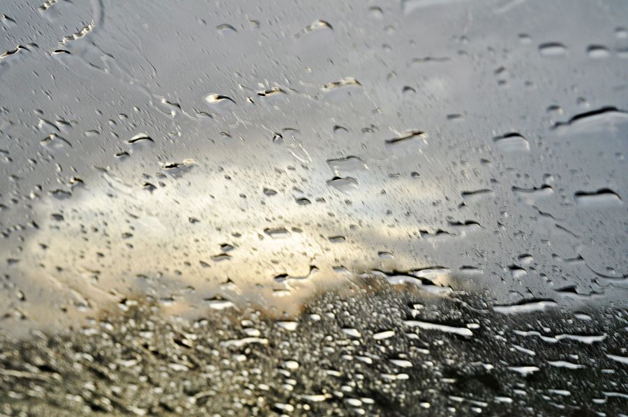 "Imagen  en un atardecer lluvioso" de Martha A. Moreschi