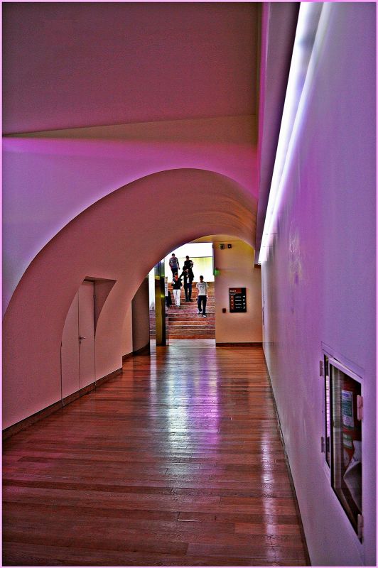 "Visitando el Museo" de Martha A. Moreschi