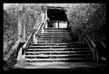 Vieja escalinata