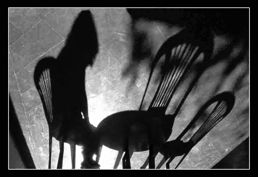 "Juego de sombras" de Carlo Legnazzi