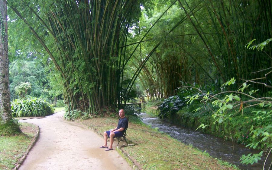 "entre el bamboo" de Ricardo Picco