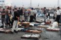 mercado de pescado