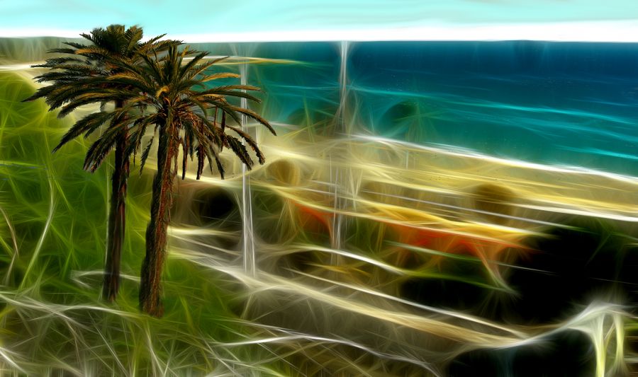 "palmeras en la playa" de Elvira Dcm