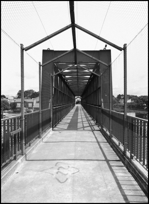 "Puente 1492" de Virginia Rapallini