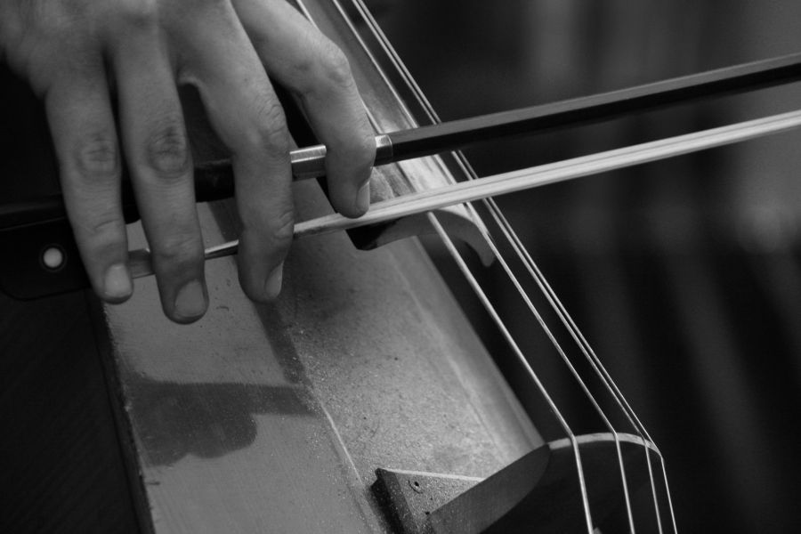 "Il cello" de Daniel Gustavo Bravo