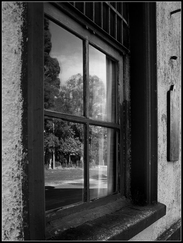 "Reflejos en la ventana" de Eli - Elisabet Ferrari
