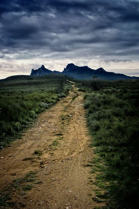 "Camino largo" de Francisco Jos Cerd Ortiz