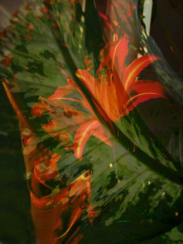 "Sinfona en naranja  y  verde" de Tesi Salado