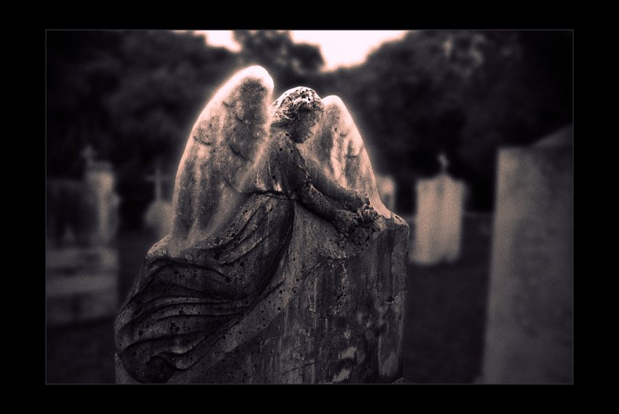 "un angel en el cementerio" de Ruben Ibarrola