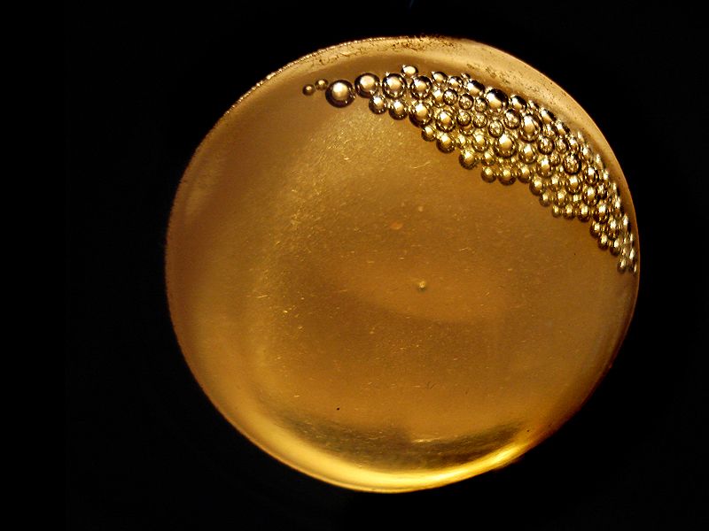 "Burbujas doradas" de Eli - Elisabet Ferrari