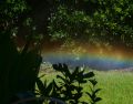 mi propio arco iris