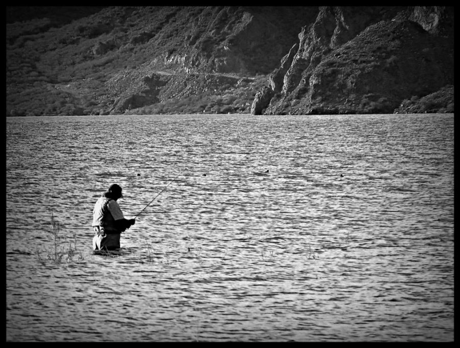 "El pescador" de Alberto Elizalde