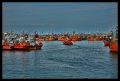 Pescadores Mar del Plata