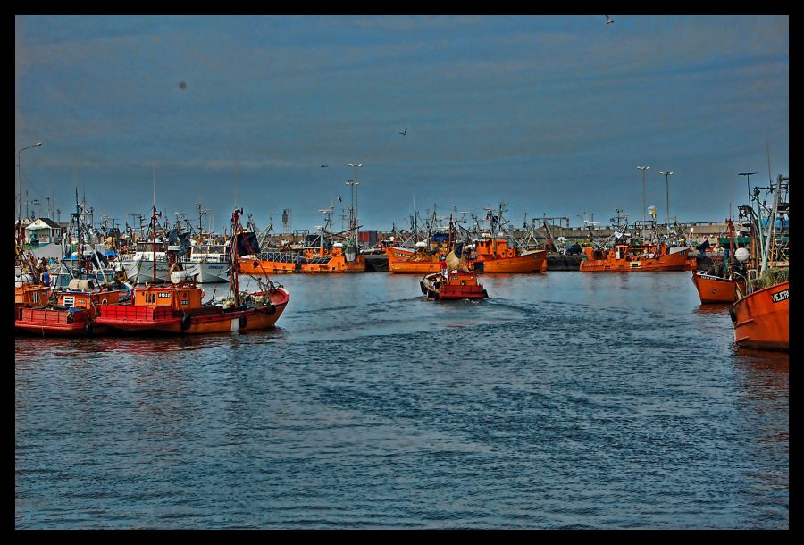 "Pescadores Mar del Plata" de Laura Jakulis
