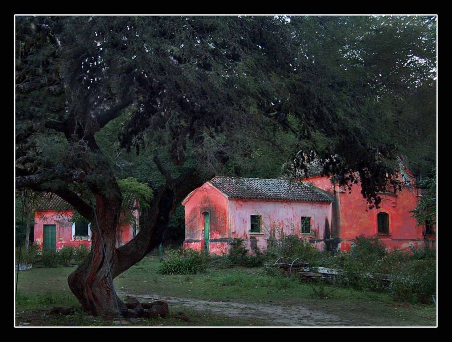 "La casa rosada" de Carlo Legnazzi