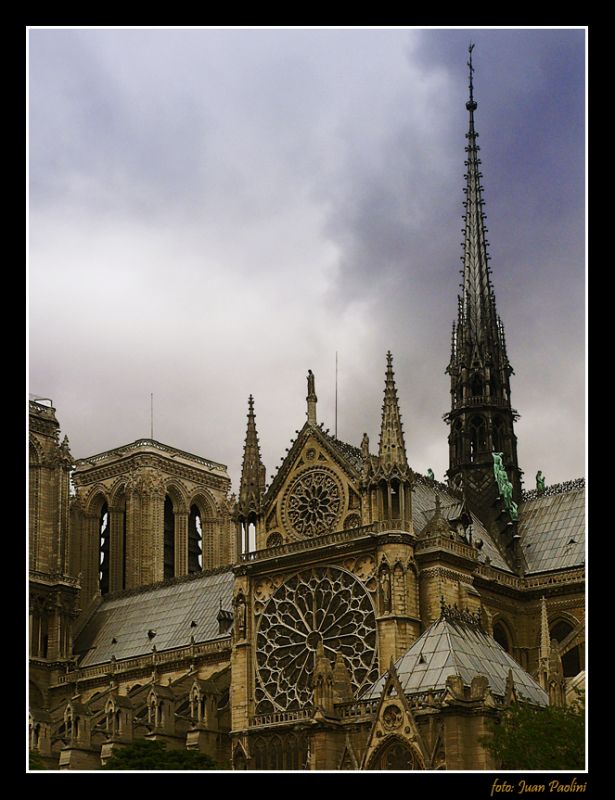 "AGUJAS- Notre Dame- Paris" de Juan Antonio Paolini