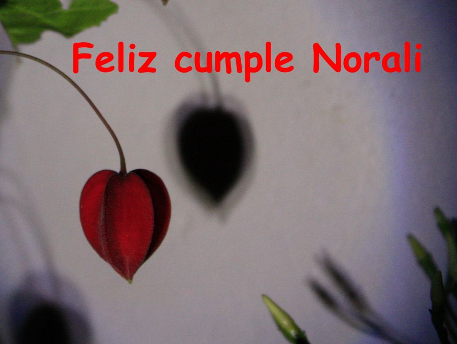 "Feliz cumpleaos Norali!!!!" de Carmen Nievas