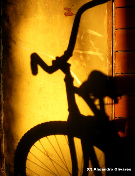 "La bici..." de Alejandro Olivares