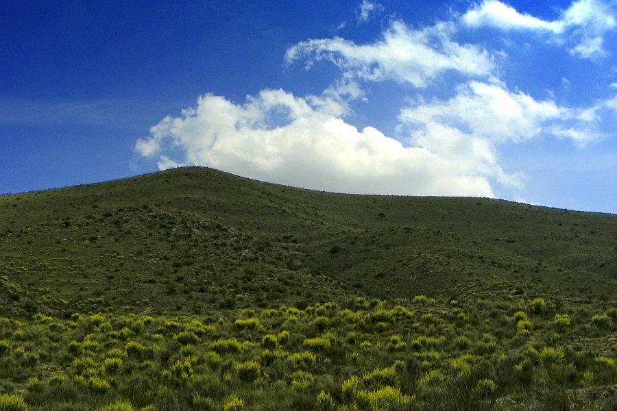 "Cerro verde" de Francisco Jos Cerd Ortiz